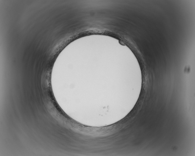 X0000114550023200911301235