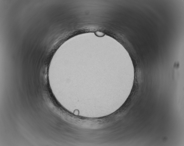X0000114550024200911301235