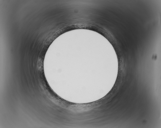 X0000114550025200911301235