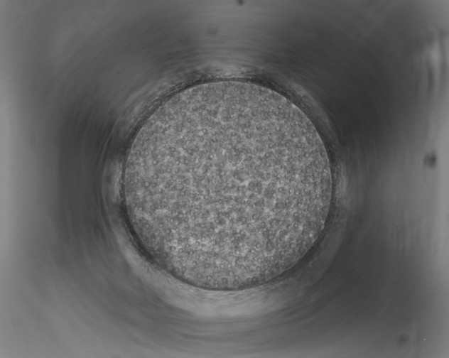 X0000114550026200911301235