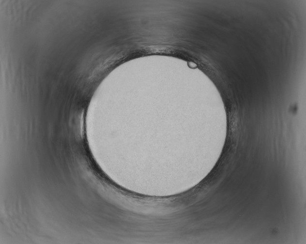 X0000114550028200911301235