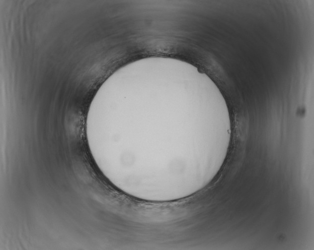 X0000114550029200911301235