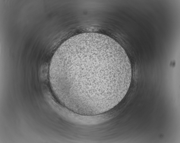 X0000114550030200911301235