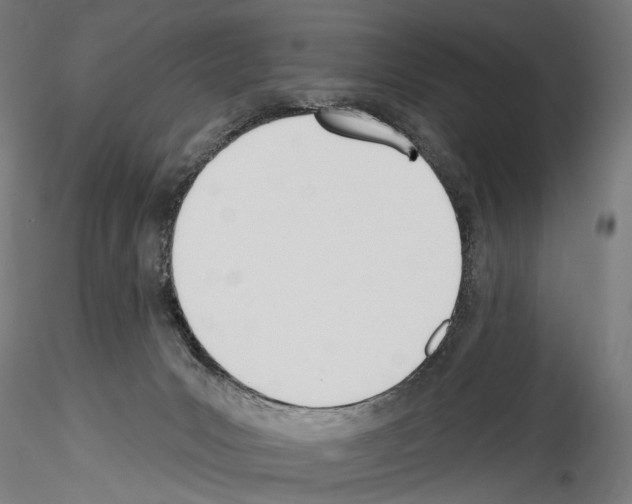 X0000114550031200911301235