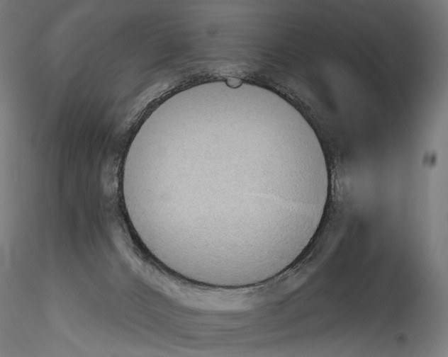 X0000114550032200911301235
