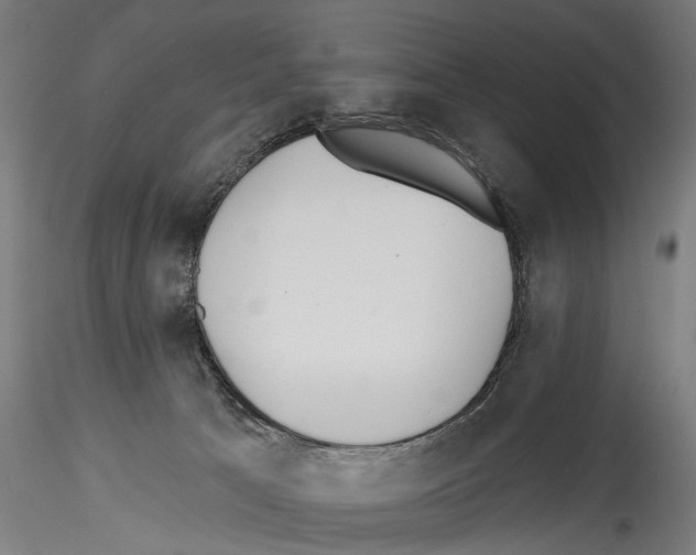X0000114550033200911301235