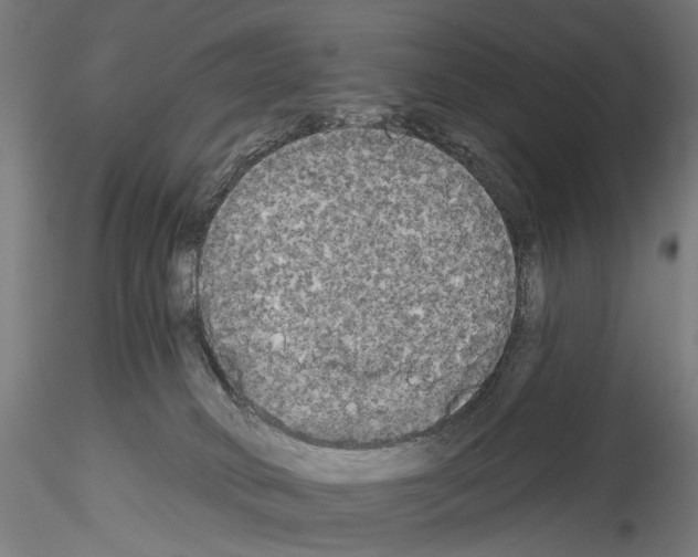 X0000114550034200911301235