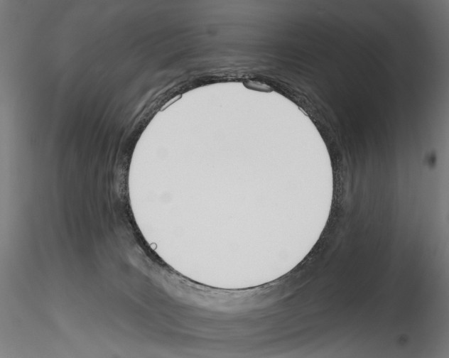 X0000114550035200911301234