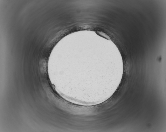 X0000114550036200911301234
