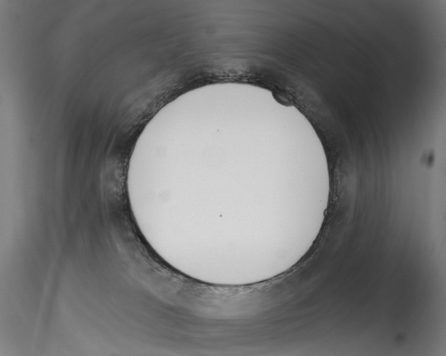X0000114550037200911301234