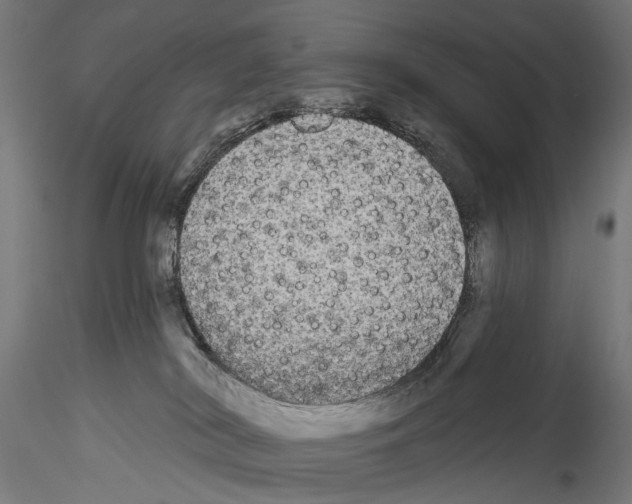 X0000114550038200911301234