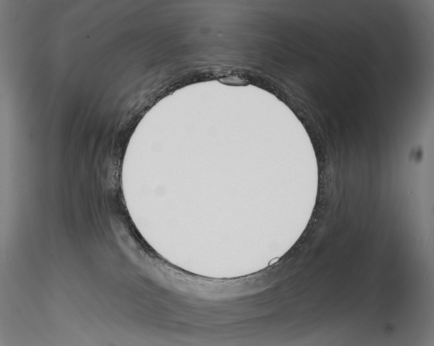 X0000114550039200911301234