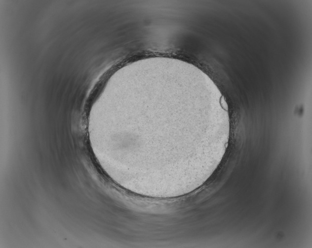 X0000114550040200911301234