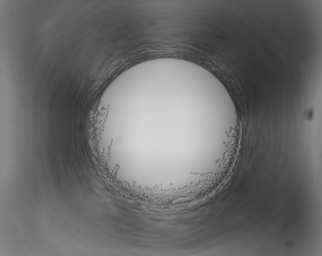 X0000114550041200911301234