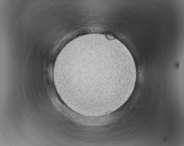 X0000114550042200911301234