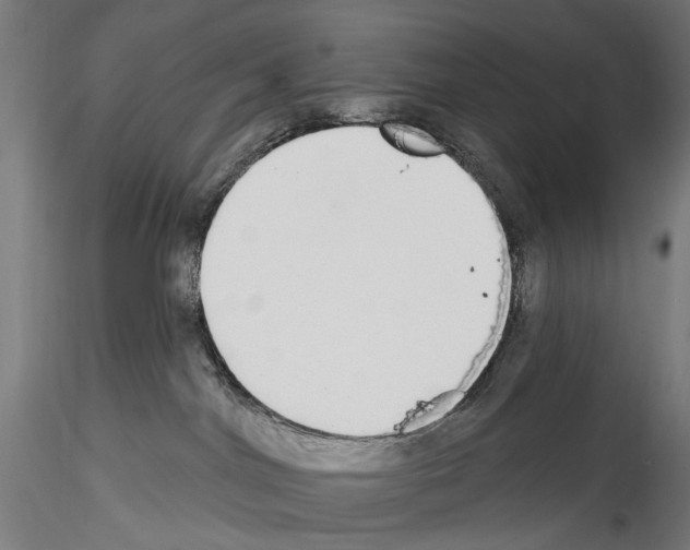 X0000114550044200911301234