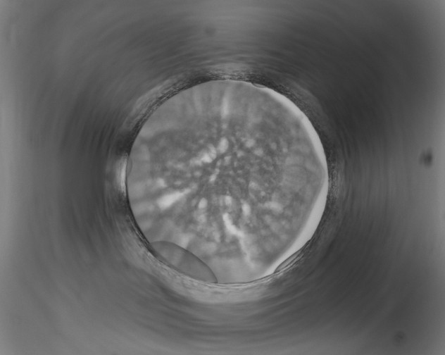 X0000114550047200911301234