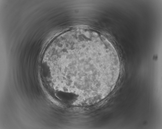 X0000114550049200911301233