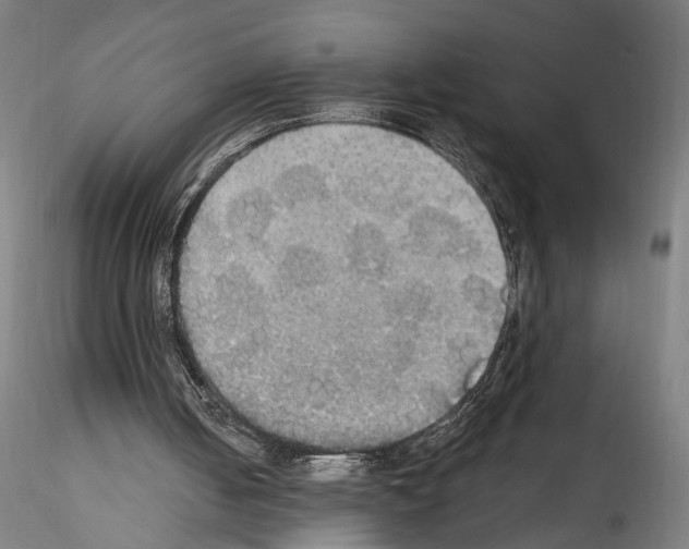 X0000114550050200911301233