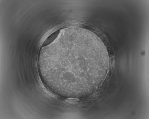 X0000114550051200911301234