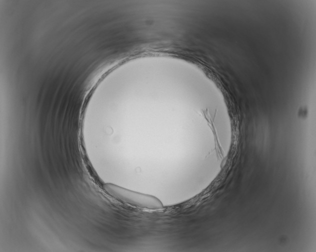 X0000114550052200911301234