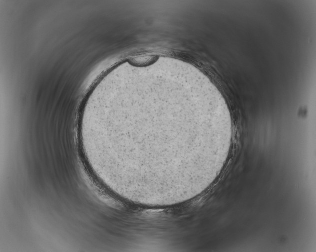 X0000114550054200911301234