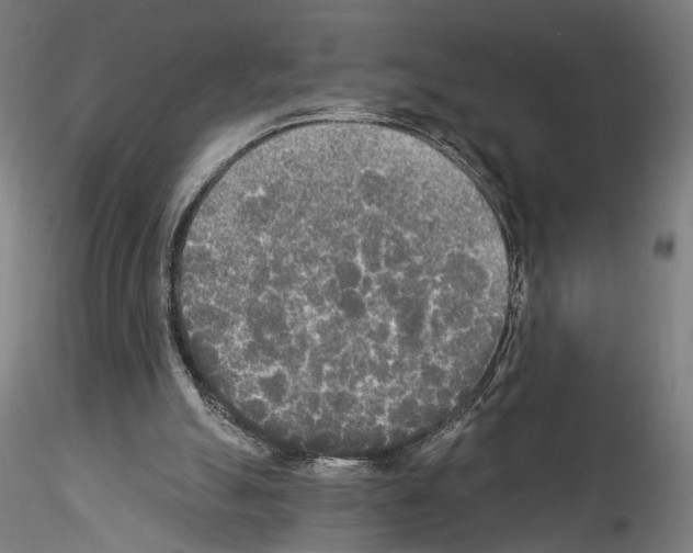 X0000114550055200911301234