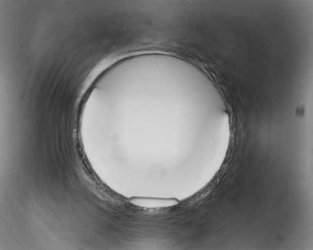 X0000114550056200911301234