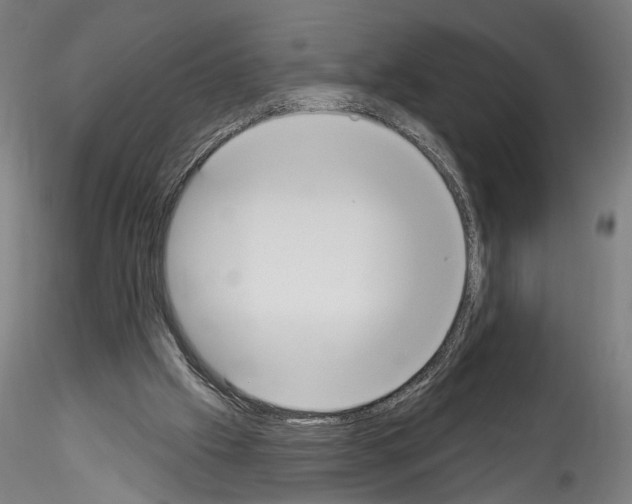X0000114550057200911301234