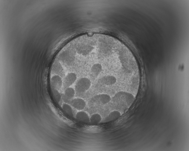 X0000114550058200911301234