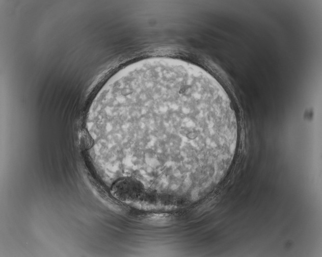 X0000114550059200911301234
