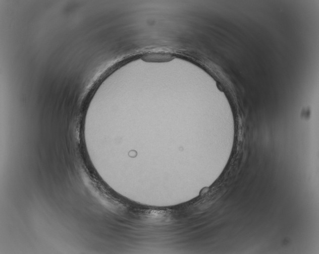 X0000114550060200911301234