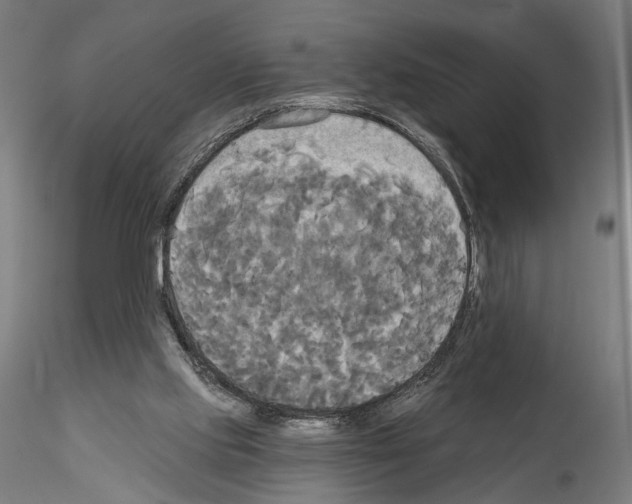 X0000114550061200911301234