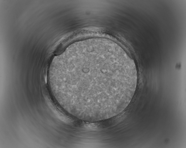 X0000114550062200911301234
