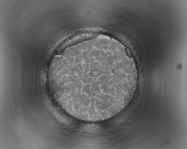 X0000114550063200911301234