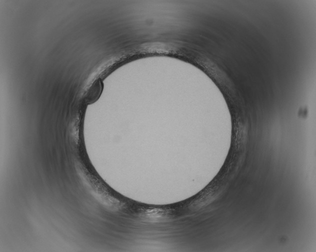 X0000114550064200911301234