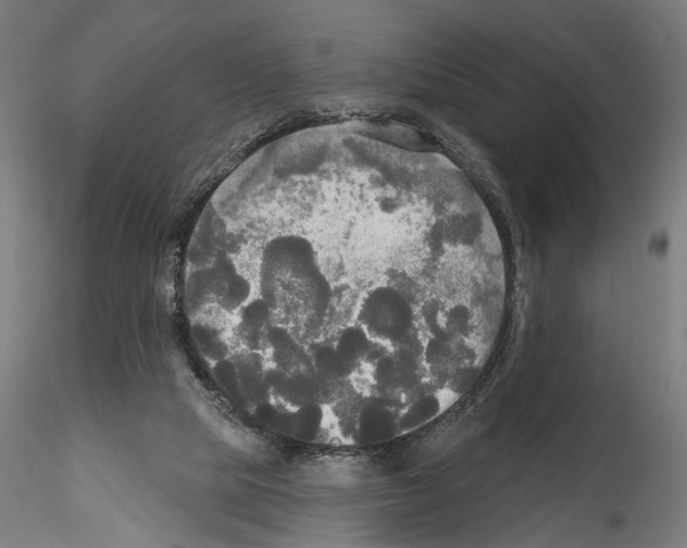 X0000114550065200911301234