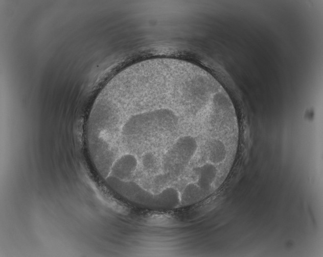 X0000114550066200911301234