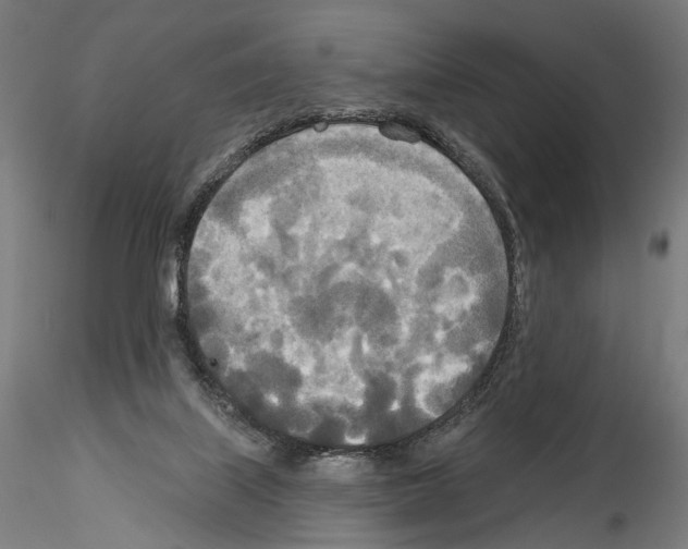 X0000114550067200911301234