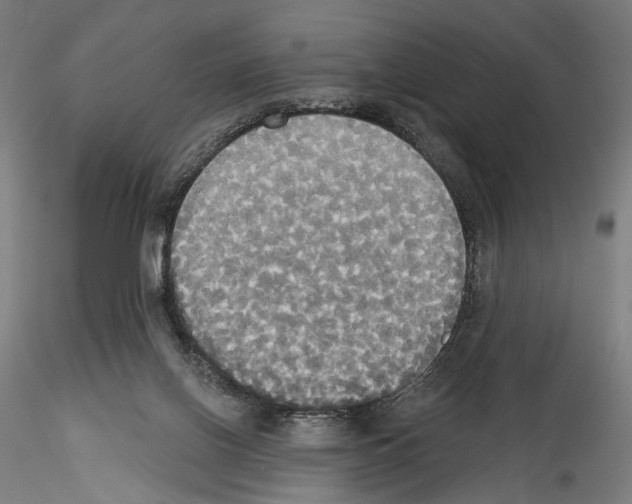 X0000114550070200911301234