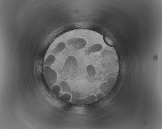 X0000114550071200911301234
