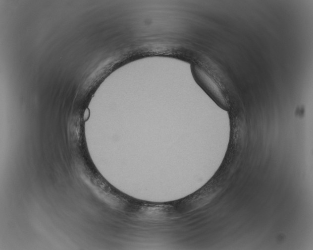 X0000114550072200911301234