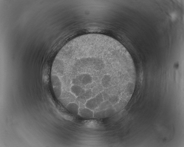 X0000114550074200911301234