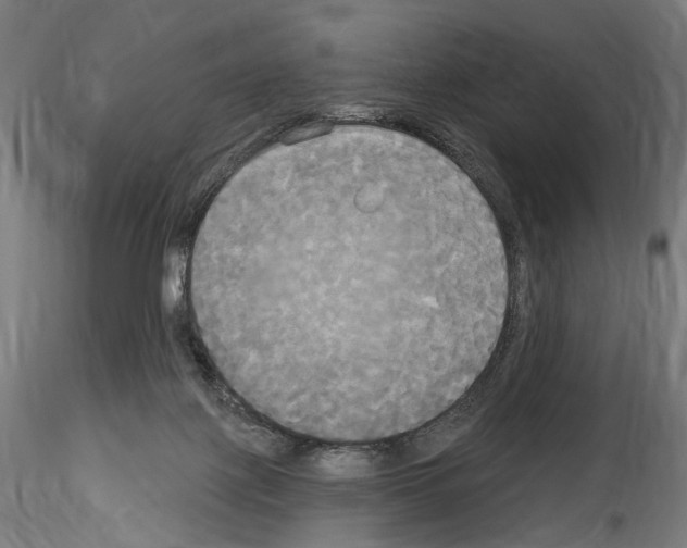 X0000114550075200911301234