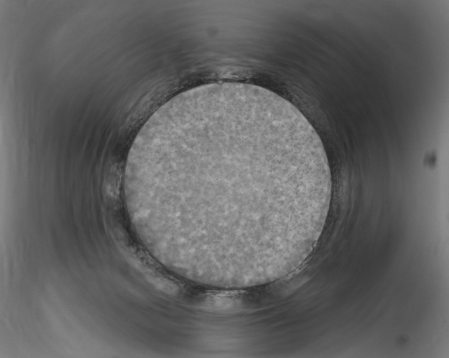X0000114550078200911301234