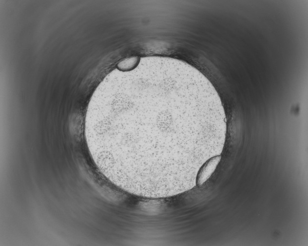 X0000114550079200911301234