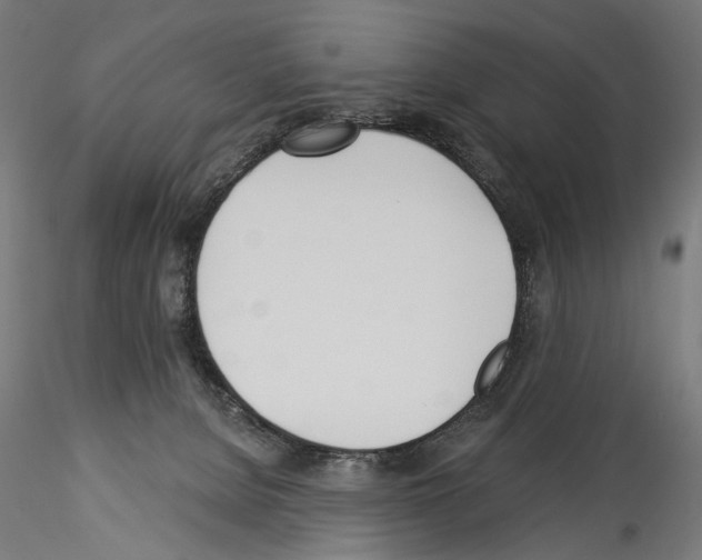 X0000114550080200911301234