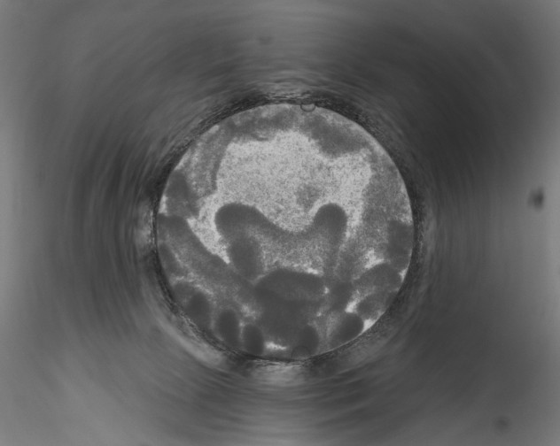 X0000114550081200911301234