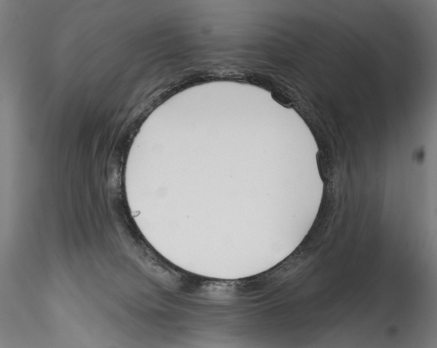 X0000114550084200911301234