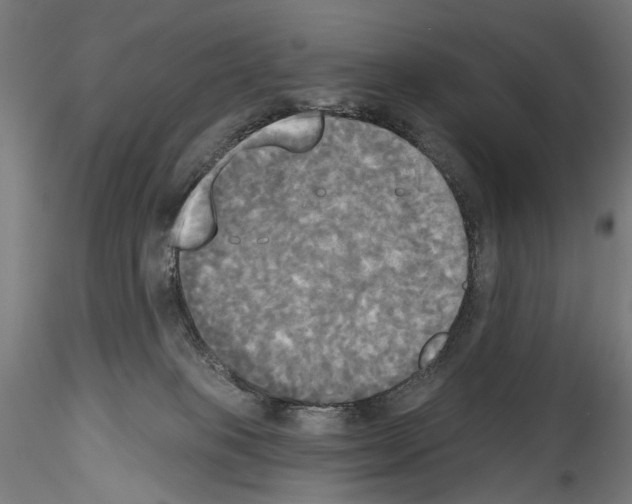 X0000114550085200911301234